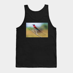 Southern Carmine Bee-eater (Merops nubicoides) Tank Top